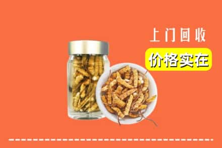 收购资讯:咸宁崇阳县回收散虫草