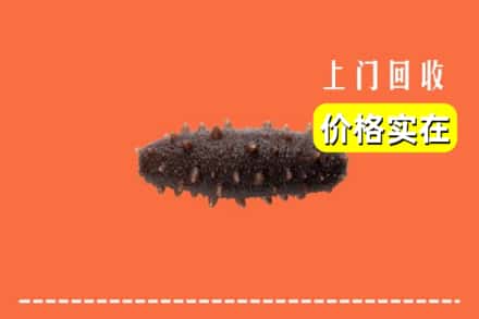 收购资讯:咸宁崇阳县回收海参