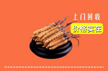 收购资讯:咸宁崇阳县回收冬虫夏草